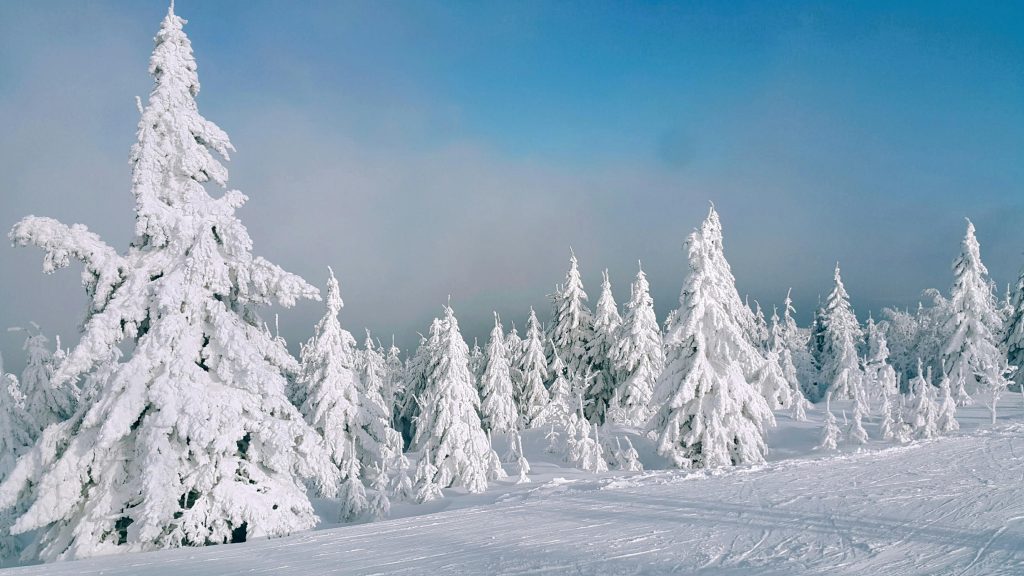 pourquoi mon telephone ne capte pas la 4g et comment y remedier