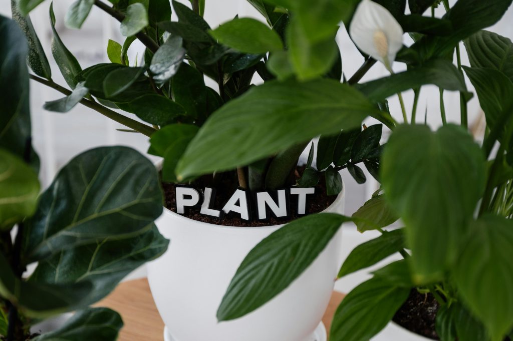 comment eliminer efficacement lodeur de transpiration sur vos vetements