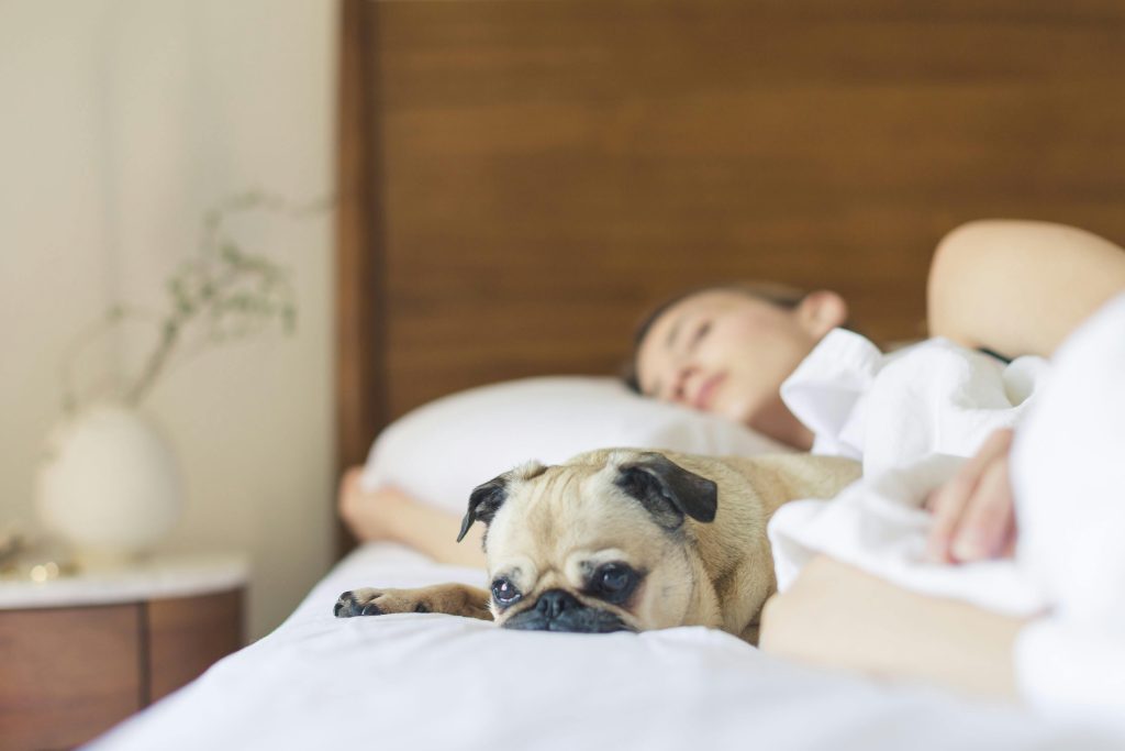 10 Astuces Simples pour Mieux Dormir 10 astuces simples pour mieux dormir